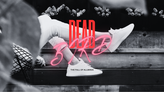 From Wool Sneakers to AI Data Centers: The Fall of Allbirds