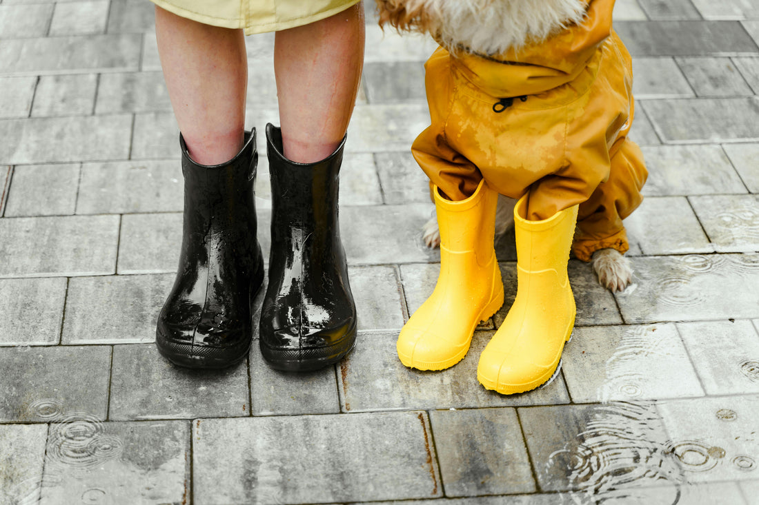 MooseLog Waterproof vs. Water-Resistant: Choosing the Right Boot Protection
